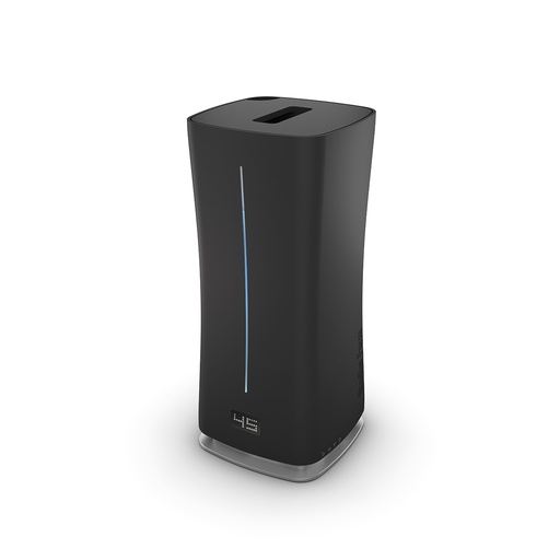 [EVA00004] Eva Little Noir - prestation de réparation